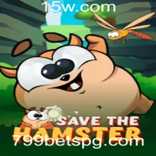 Explorando Cada Nível de SavetheHamster: Um Jogo Desafiador e Inovador